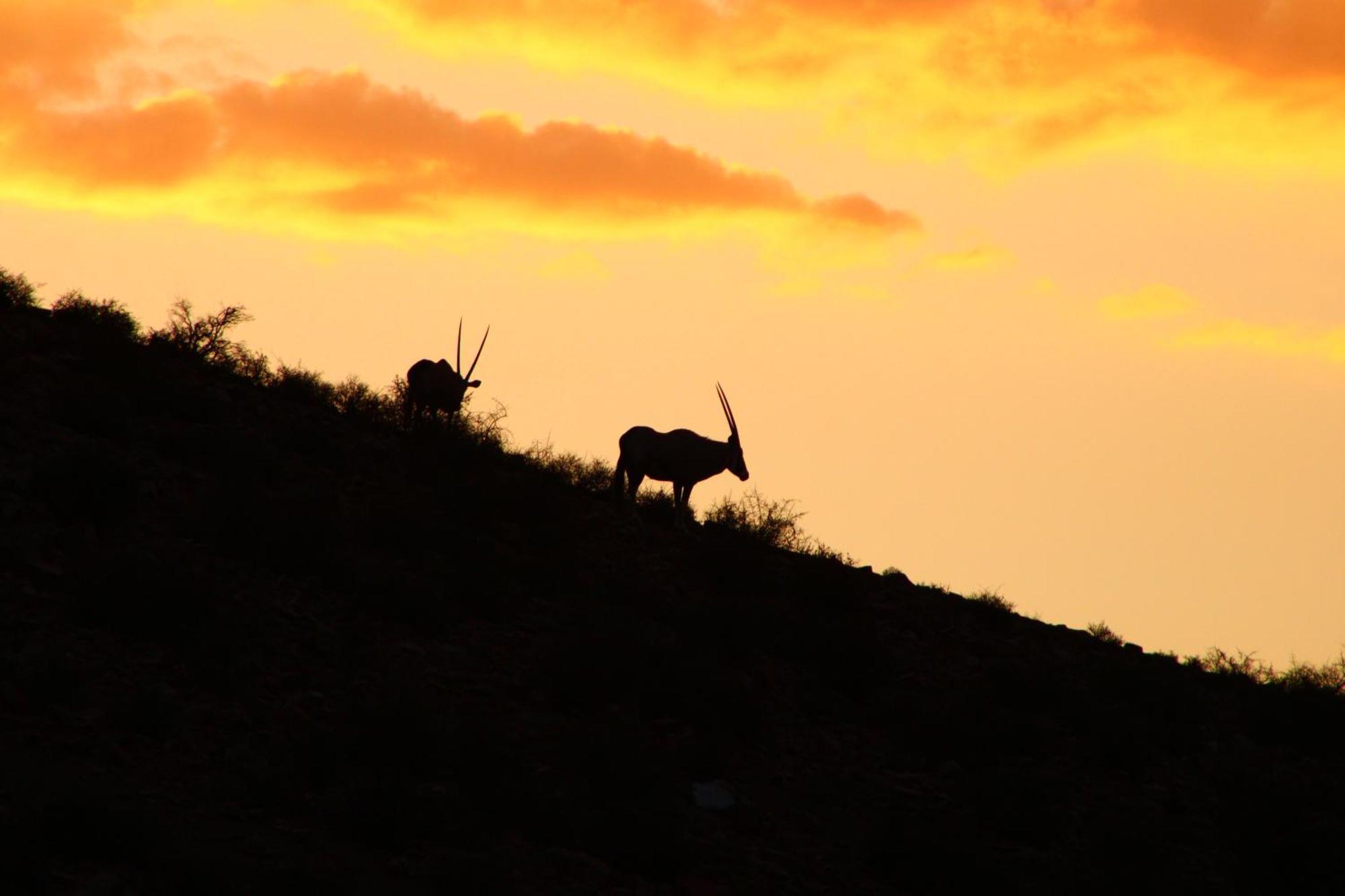 Bosch Luys Kloof Nature Reserve Ladismith Buitenkant foto
