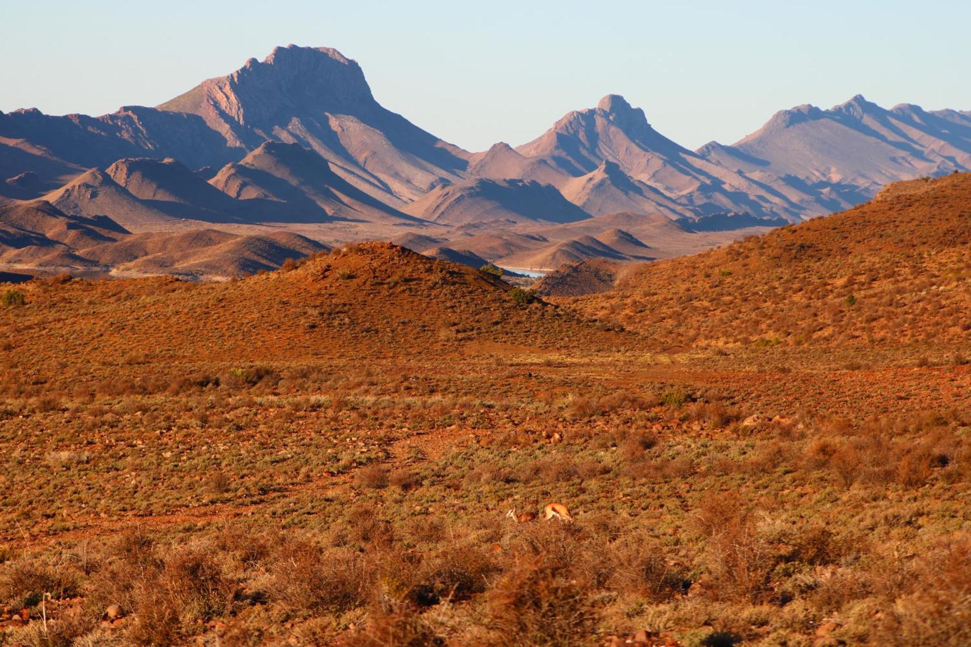 Bosch Luys Kloof Nature Reserve Ladismith Buitenkant foto