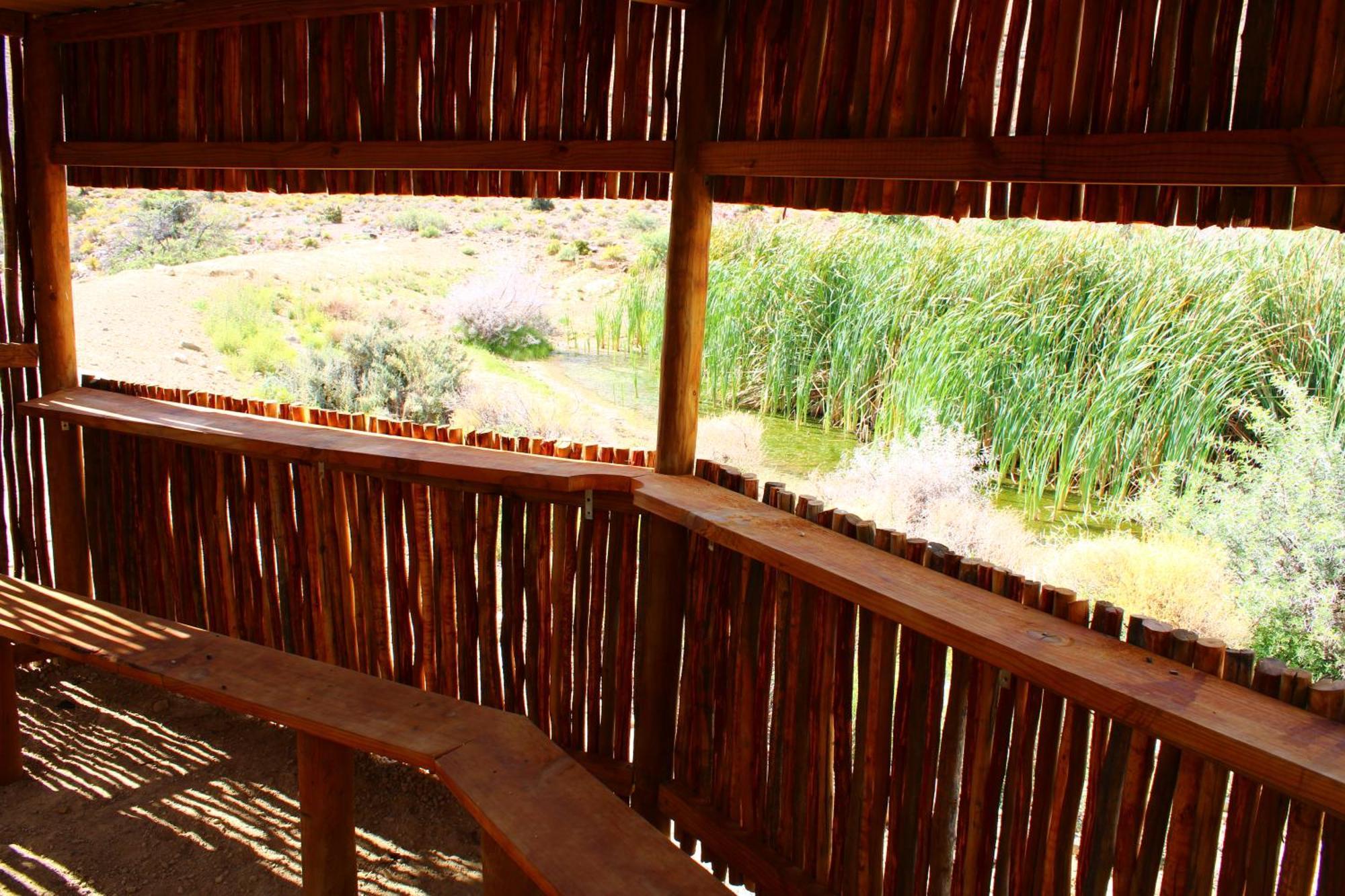 Bosch Luys Kloof Nature Reserve Ladismith Buitenkant foto