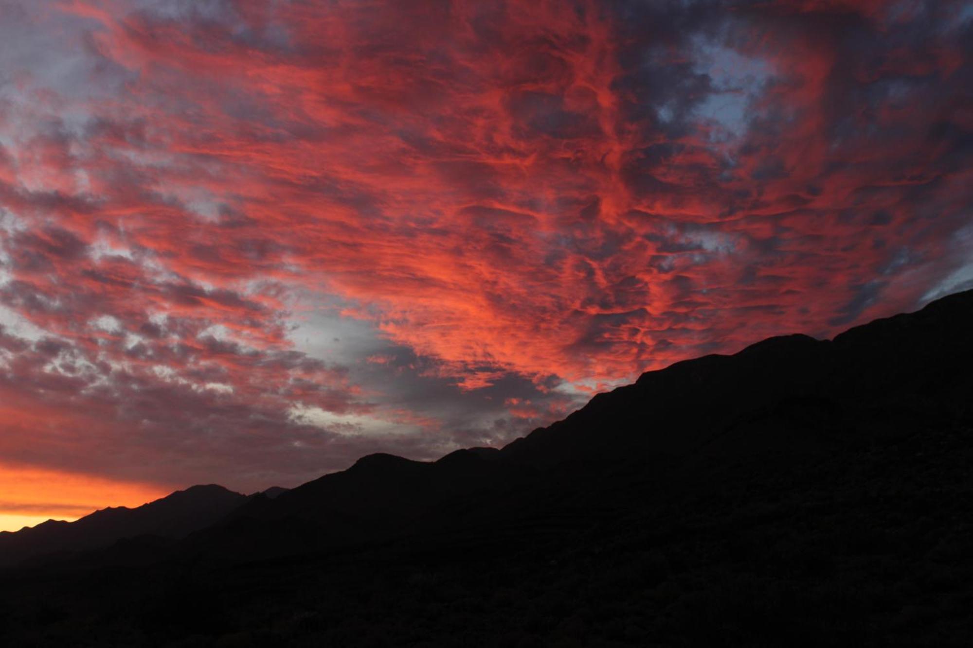 Bosch Luys Kloof Nature Reserve Ladismith Buitenkant foto